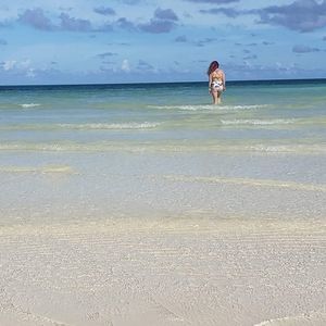 Meet your Posher, Roxanne